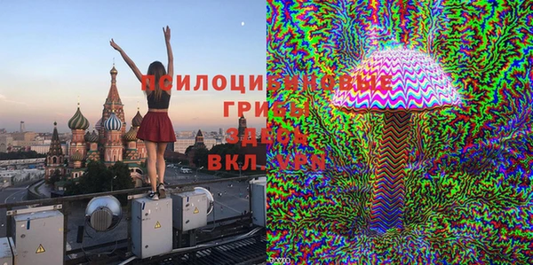 индика Балабаново