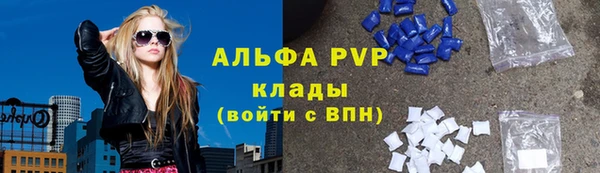 PSILOCYBIN Балахна