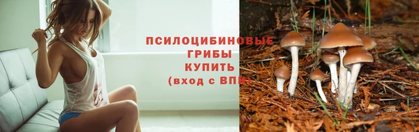 PSILOCYBIN Балахна