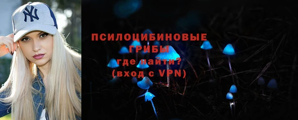 PSILOCYBIN Балахна