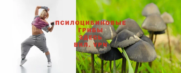 винт Саяногорск