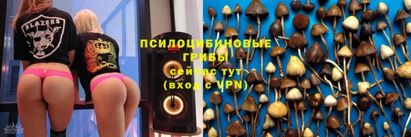 индика Балабаново