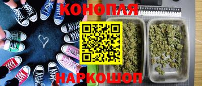 гидра Братск