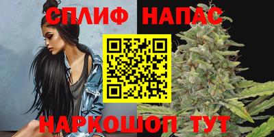гидра Братск