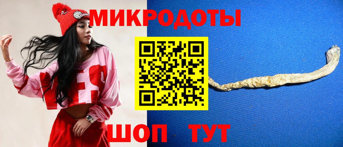 Псилоцибиновые грибы GOLDEN TEACHER Бор