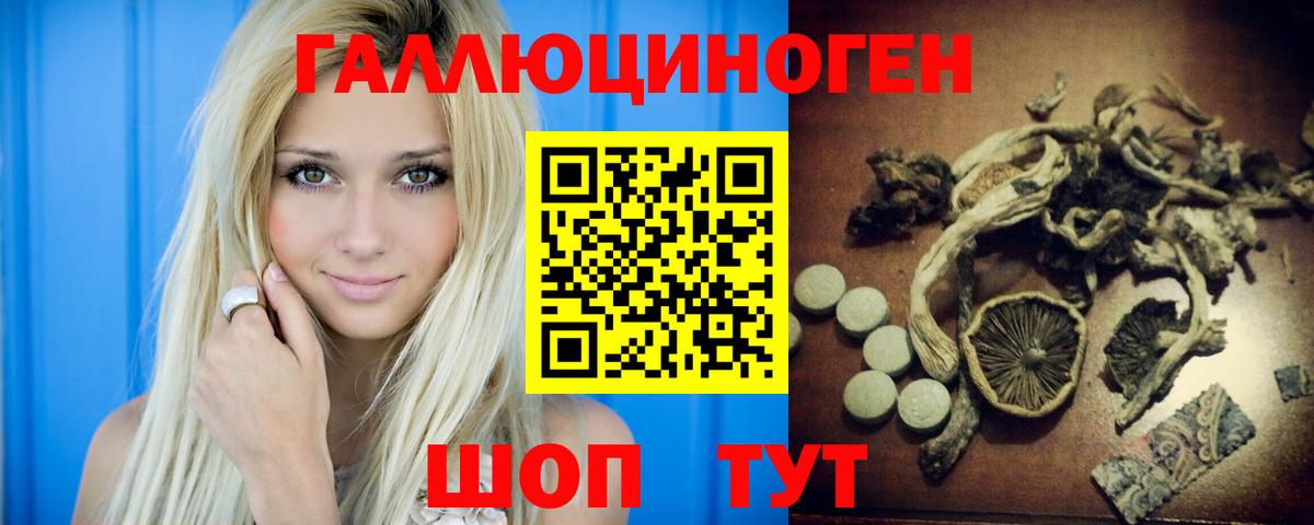 Псилоцибиновые грибы Cubensis  Вход с VPN  Бор 