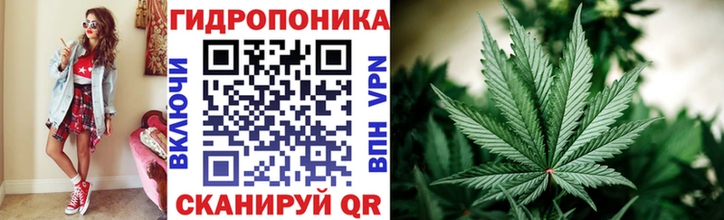 где купить наркоту  Бор  Каннабис гибрид 