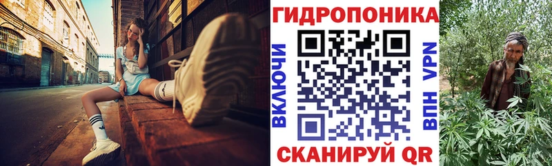 Бошки Шишки план Бор
